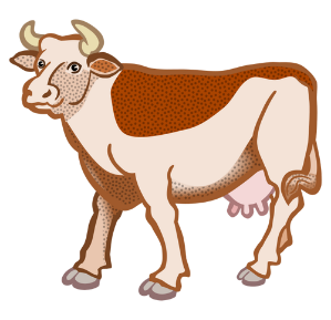 Brown cow